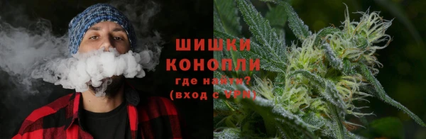 ГАЛЛЮЦИНОГЕННЫЕ ГРИБЫ Аркадак