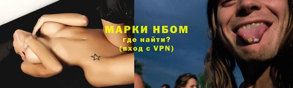 ГАЛЛЮЦИНОГЕННЫЕ ГРИБЫ Аркадак