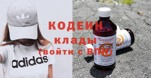 ГАЛЛЮЦИНОГЕННЫЕ ГРИБЫ Аркадак