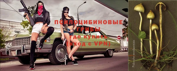 ГАЛЛЮЦИНОГЕННЫЕ ГРИБЫ Аркадак