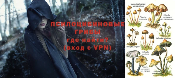 прущая мука Няндома
