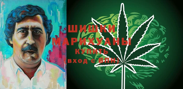 прущая мука Няндома