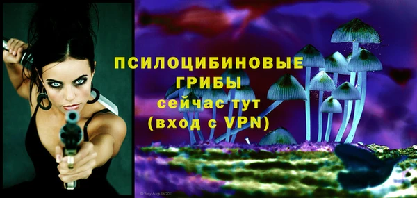 прущий лед Арсеньев